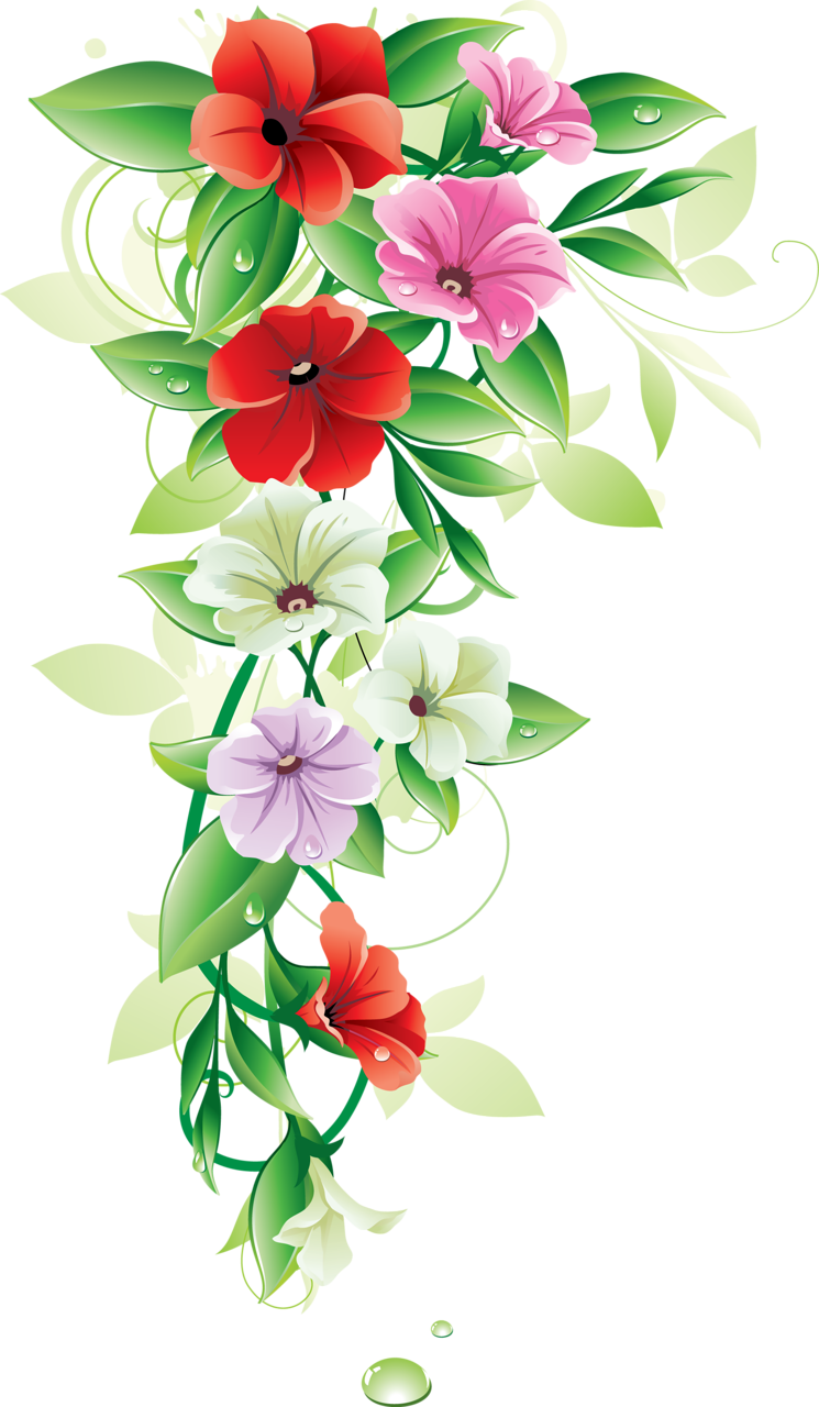 Flower PNG